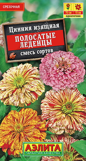 1952A Цинния Полосатые леденцы, смесь сортов 0,3 г
