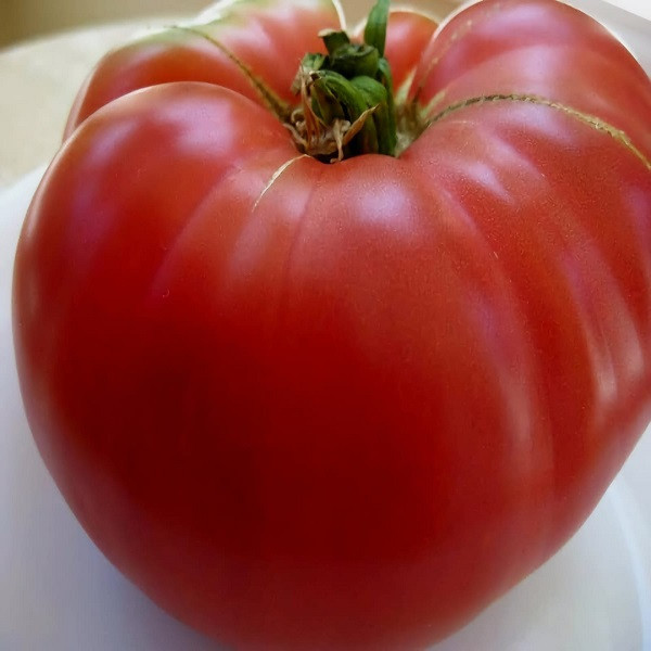 7010T Томат Выплачивающий ипотеку 10 шт