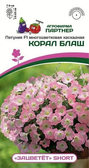 3333P Петуния F1 серия "ЗАЦВЕТЁТ" Short КОРАЛ БЛАШ/ многоцветковая каскадная 5шт 3333P Петуния F1 серия "ЗАЦВЕТЁТ" Short КОРАЛ БЛАШ/ многоцветковая каскадная 5шт