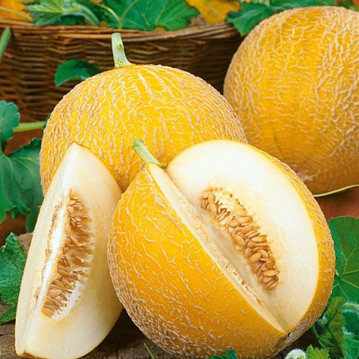 5018D Дыня Млада 5шт 5018D Дыня Млада 5шт