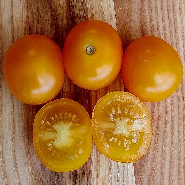 7013T Томат ГНОМ Оранжевый черри 10шт 7013T Томат ГНОМ Оранжевый черри 10шт