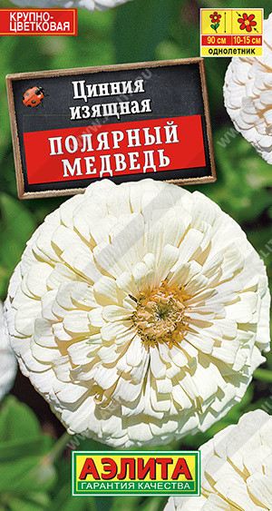 1953A Цинния Полярный медведь 0,3 г