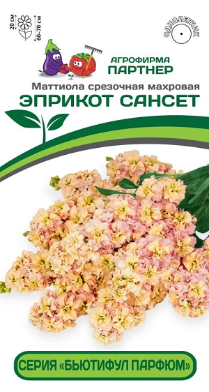3324P Маттиола срезочная махровая "Бьютифул Парфюм"  ЭПРИКОТ САНСЕТ 10 шт