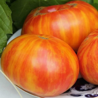 7117T Томат Индейская резервация 10шт