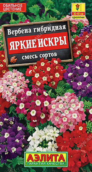 1354A Вербена Яркие искры, смесь сортов 40 шт
