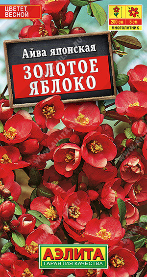 1150A Айва японская Золотое яблоко 10шт 1150A Айва японская Золотое яблоко 10шт