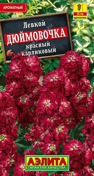 1555A Левкой карликовый Дюймовочка красный 0,1гр 1555A Левкой карликовый Дюймовочка красный 0,1гр