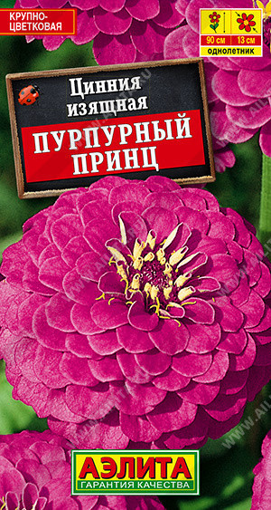 1955A Цинния Пурпурный принц 0,3 г