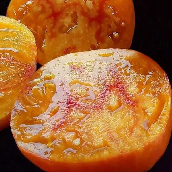 7017T Томат Грейпфрут 10шт 7017T Томат Грейпфрут 10шт