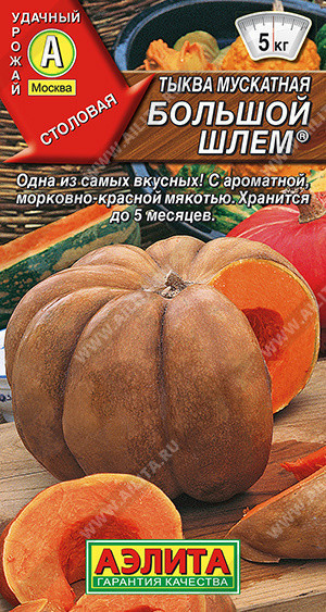 1056A Тыква мускатная Большой шлем 1 г