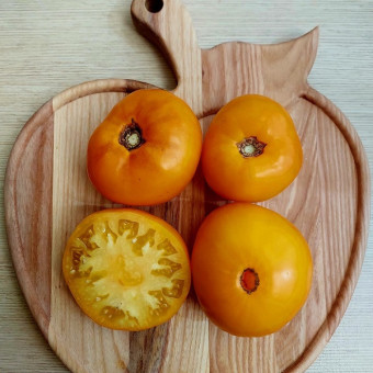 7115T Томат Золото Магараджи 10 шт