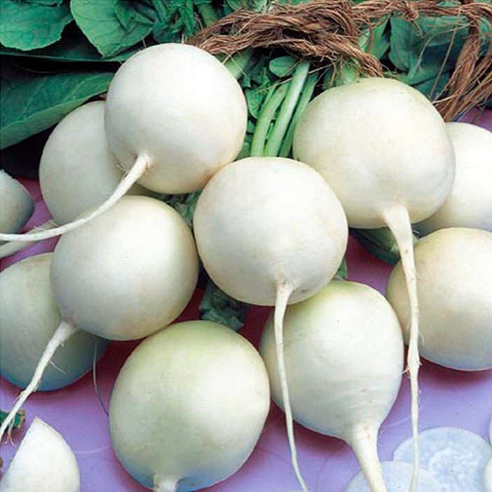 5162D Редис Октава 1гр 5162D Редис Октава 1гр