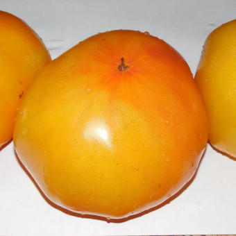 7116T Томат Золото Мордовии 10 шт