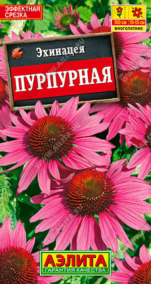 1966A Эхинацея пурпурная (Рудбекия пурпурная) 0,2гр