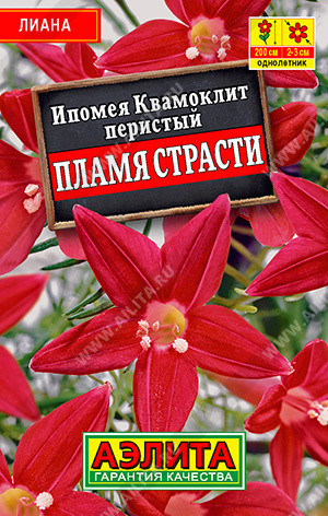 1159L Ипомея Квамоклит Пламя страсти 15 шт