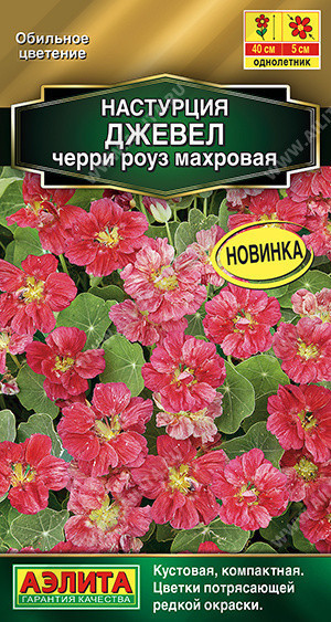 1659A Настурция Джевел черри роуз махровая 4 шт
