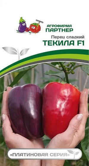 3130P Перец ТЕКИЛА F1 5 шт