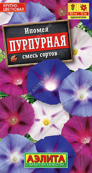 1457A Ипомея Пурпурная, смесь сортов 0,5гр