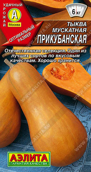 1060A Тыква мускатная Прикубанская 2 г