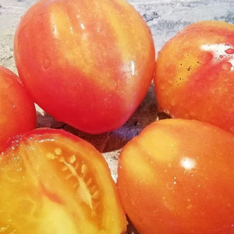 7118T Томат Козула 141 10 шт