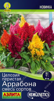 1864A Целозия перистая Аррабона, смесь сортов 7шт