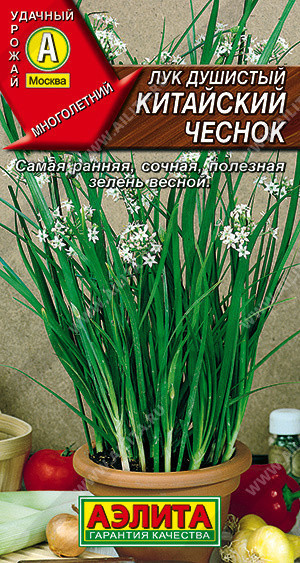 0561A Лук душистый Китайский чеснок 0,3 г