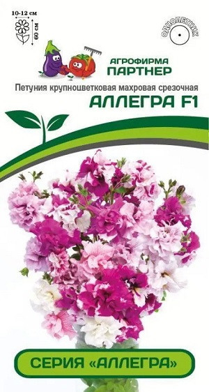 3332P Петуния серия "Аллегра" АЛЛЕГРА F1 / крупноцветковая махровая срезочная 5 шт