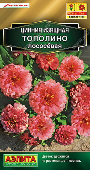 1962A Цинния Тополино лососевая 12 шт