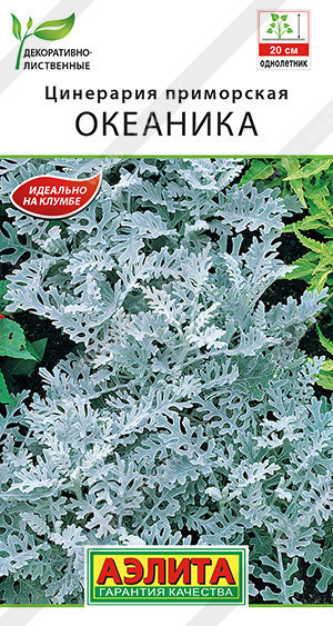 1876A Цинерария Океаника 0,05гр 1876A Цинерария Океаника 0,05гр