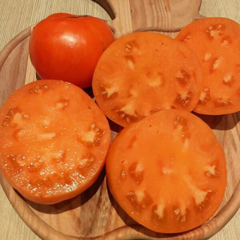 7127Т Томат Огненный поцелуй 10шт