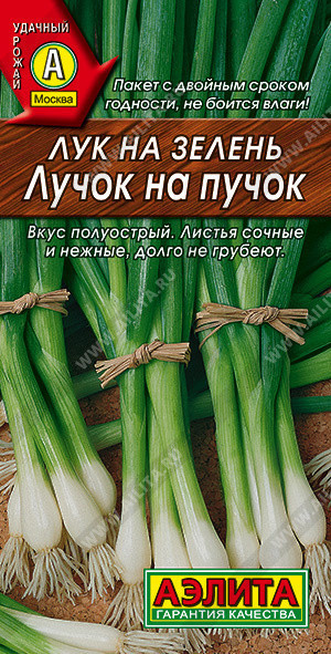 0563A Лук на зелень Лучок на пучок 0,5 г