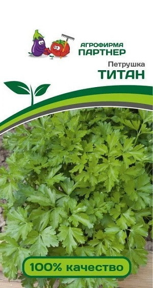 3134P Петрушка ТИТАН 2 г