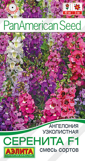 1177A Ангелония Серенита F1, смесь сортов 3шт