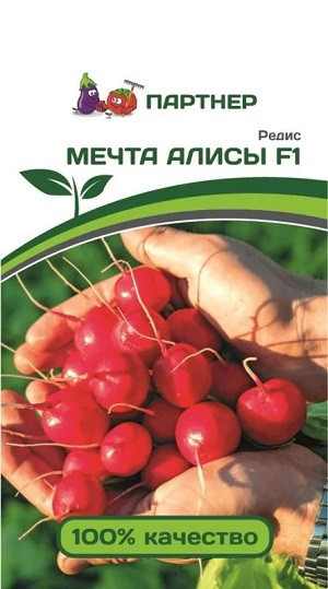 3144P Редис МЕЧТА АЛИСЫ F1 1гр 3144P Редис МЕЧТА АЛИСЫ F1 1гр
