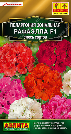 1664A Пеларгония Рафаэлла F1, смесь сортов 5шт 1664A Пеларгония Рафаэлла F1, смесь сортов 5шт