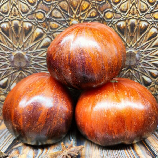 7026T Томат Ибица Елены 10шт 7026T Томат Ибица Елены 10шт