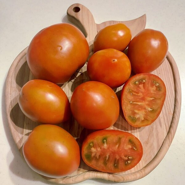 7128Т Томат Осенний марафон 10шт