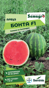 8041N Арбуз Бонта F1 5шт