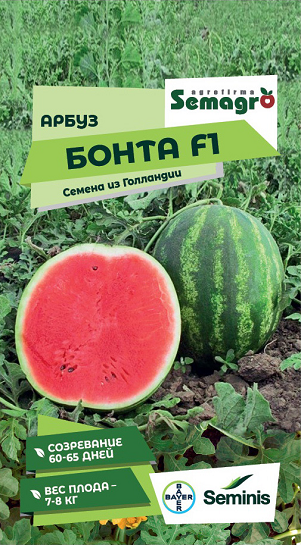 8041N Арбуз Бонта F1 5шт