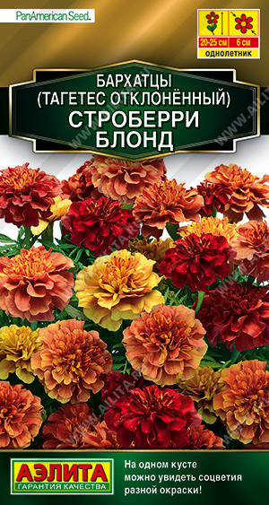 1278A Бархатцы Строберри блонд отклоненные 5шт