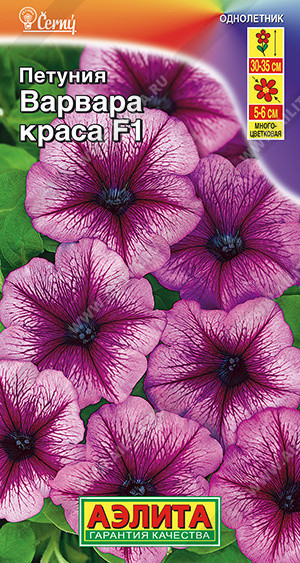 1678A Петуния Варвара Краса F1 многоцветковая 7шт 1678A Петуния Варвара Краса F1 многоцветковая 7шт
