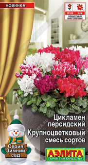 1868A Цикламен Крупноцветковый, смесь сортов 3шт