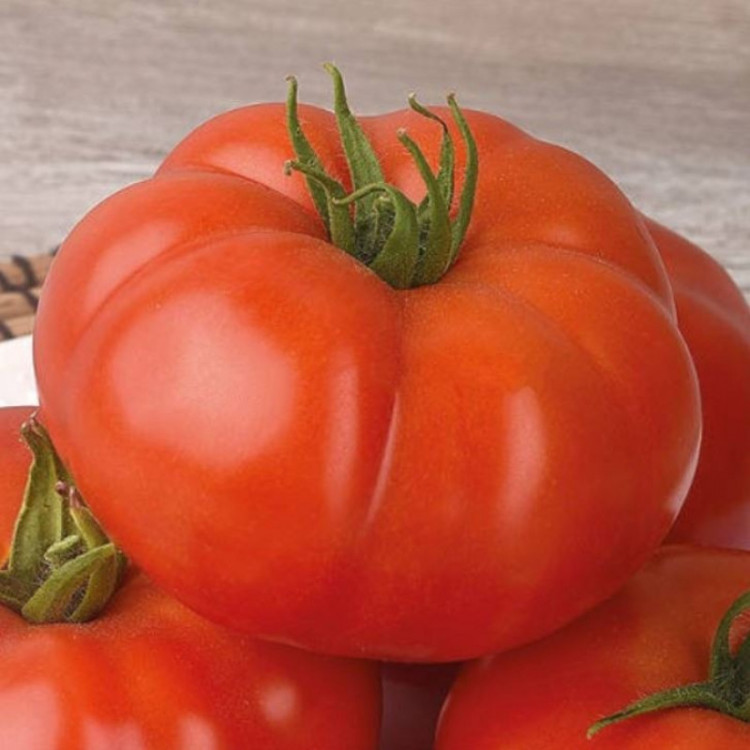 5172D Томат Армада F1 5шт 5172D Томат Армада F1 5шт