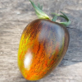 7023T Томат Звездопад в августе 10 шт