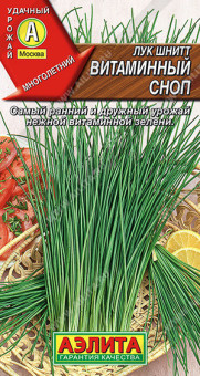 0579A Лук шнитт Витаминный сноп 0,5гр