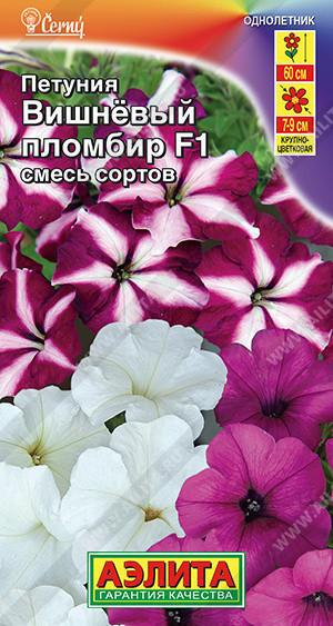 1679A Петуния Вишневый пломбир F1, крупноцветковая ампельная, смесь сортов 7шт 1679A Петуния Вишневый пломбир F1, крупноцветковая ампельная, смесь сортов 7шт