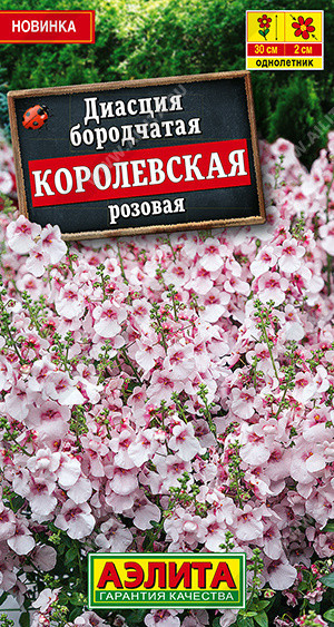 1466A Диасция Королевская розовая 20 шт