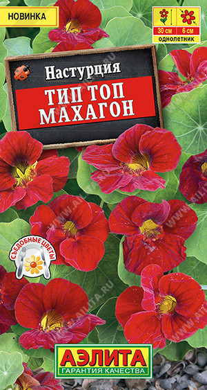 1666A Настурция Тип топ махагон 5 шт