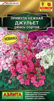 1768A Примула Джульет махровая, смесь сортов 7шт