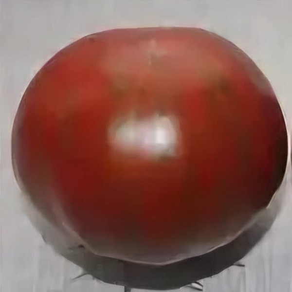 7029T Томат Имбирный пряник 10шт 7029T Томат Имбирный пряник 10шт